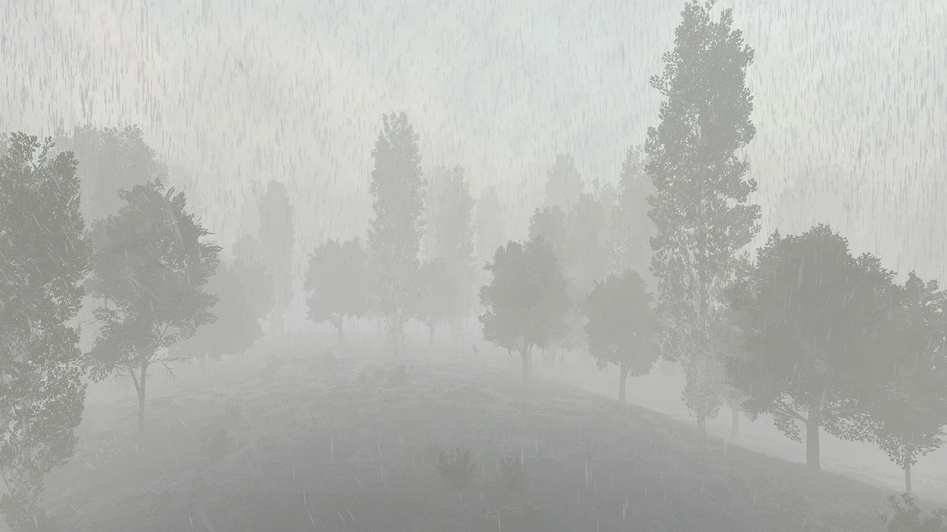 Realistic Weather modu ile sisli orman savaşı