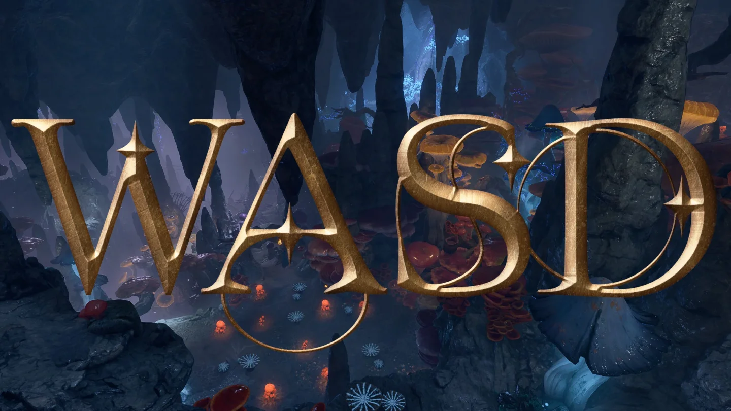 WASD moduyla Baldur's Gate 3'te karakter hareketi